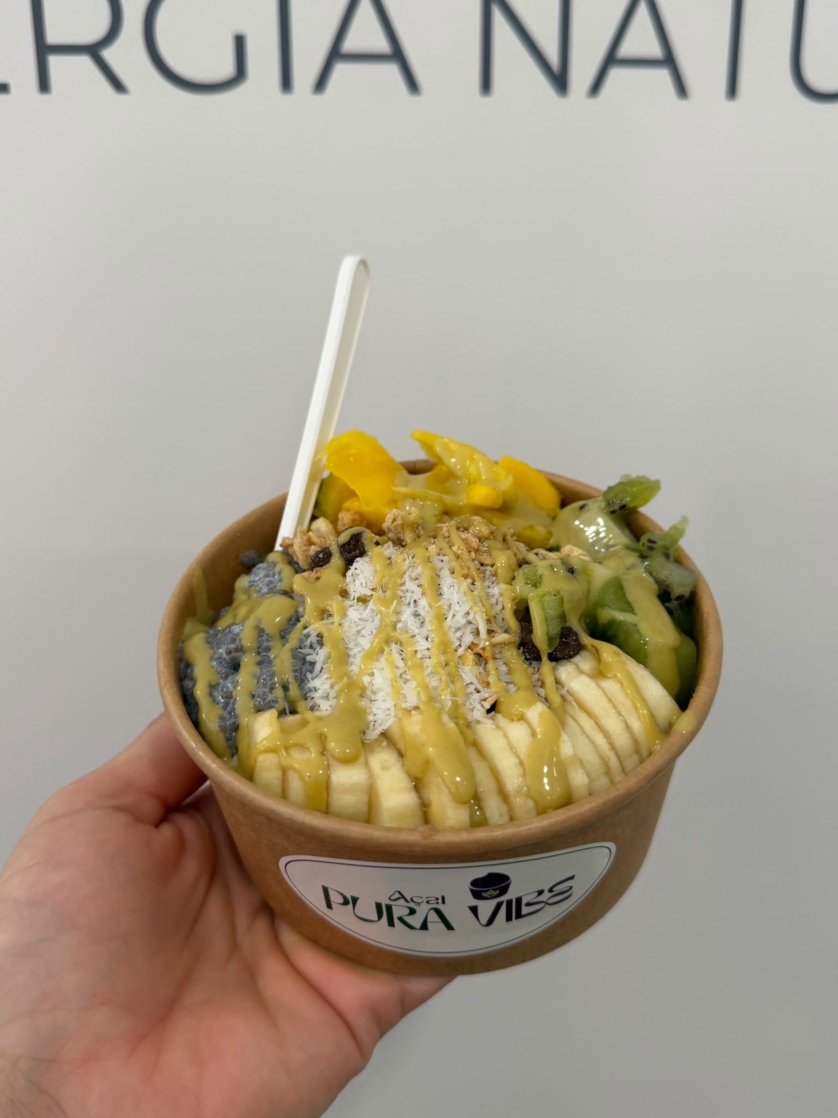 Bowl con mango, kiwi, plátano, coco y chía